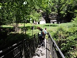 Pontino di Arvera